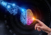 Neurônios artificial e biológico se comunicam pela internet