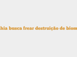 Bahia busca frear destruição de biomas