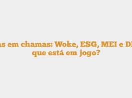 Siglas em chamas: Woke, ESG, MEI e DEI – o que está em jogo?